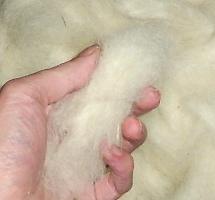 alpaca fibre