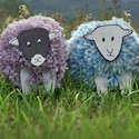 Join the flock