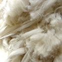 Raw alpaca fleece, white
